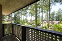 View 52