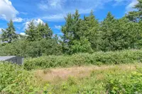 View 39