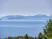 View 39