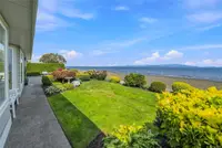 View 41