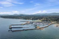 View 50