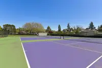 View 51