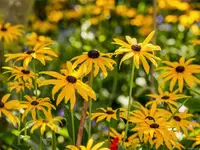 View 70