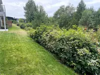 View 47