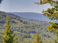 View 42