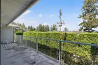 View 37