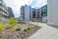 View 38