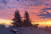 View 50