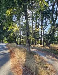 View 13