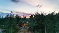 View 31