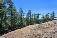View 23