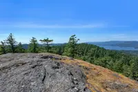 View 27
