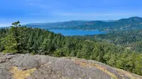 View 13