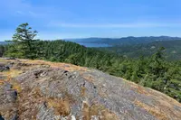 View 37