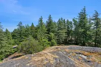 View 31