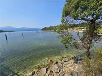 View 65