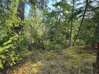 View 54