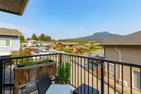 View 15