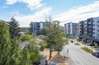 View 29