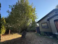 View 29