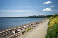 View 46