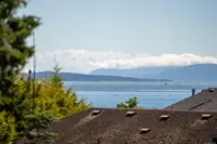 View 36
