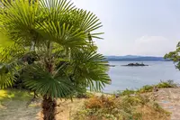 View 38