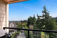 View 13