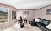View 15