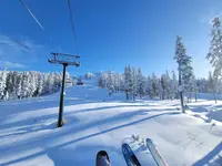 View 51