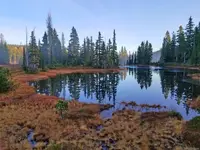 View 50