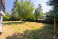 View 38