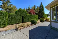 View 42