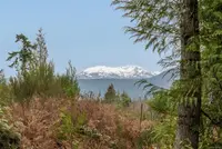 View 14