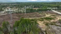 View 15