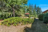 View 50