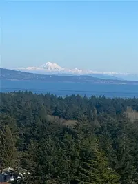 View 78