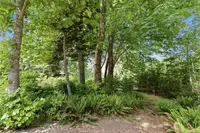 View 50