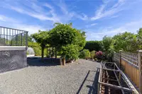 View 51