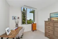 View 37
