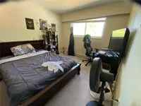 View 15