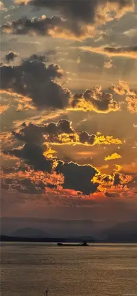 View 22