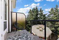 View 19