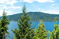 View 21
