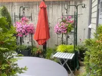 View 24