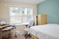 View 50