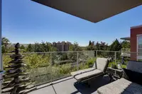 View 19