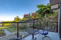 View 49