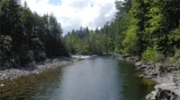 View 53
