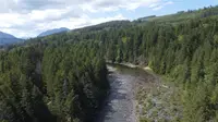 View 32